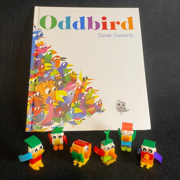 Build the Birds ~ 'Oddbird' Bricks and Book Kit