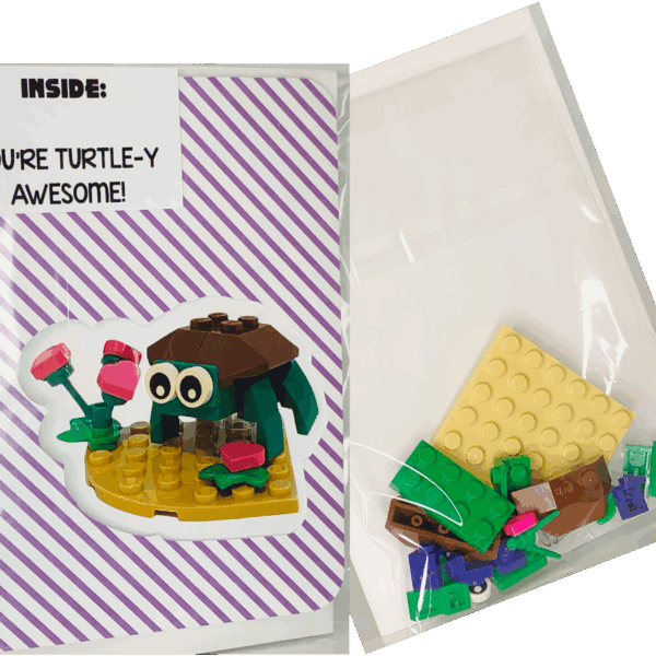 Brick and Books-Turtle card 2 c