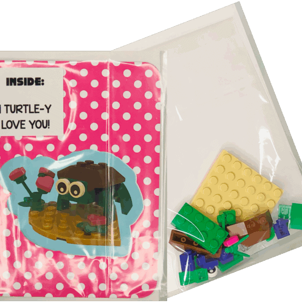 Brick and Books-Turtle card c