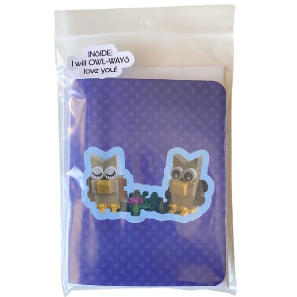 Complete owl card and LEGO brick build set showing card alongside all included pieces