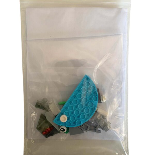 Fish Card Build - Pieces - Bricks and Books